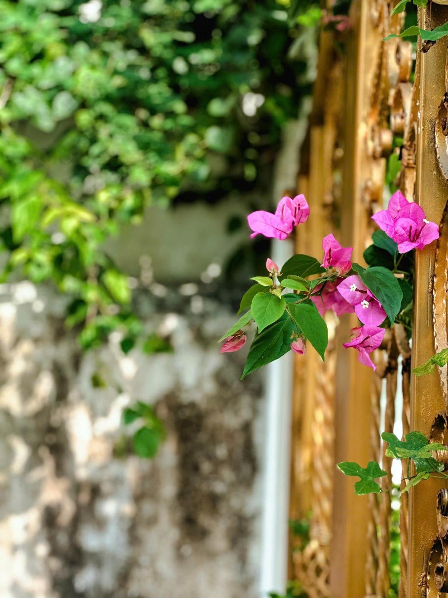 Blue Fish Villa Tan Thanh Εξωτερικό φωτογραφία